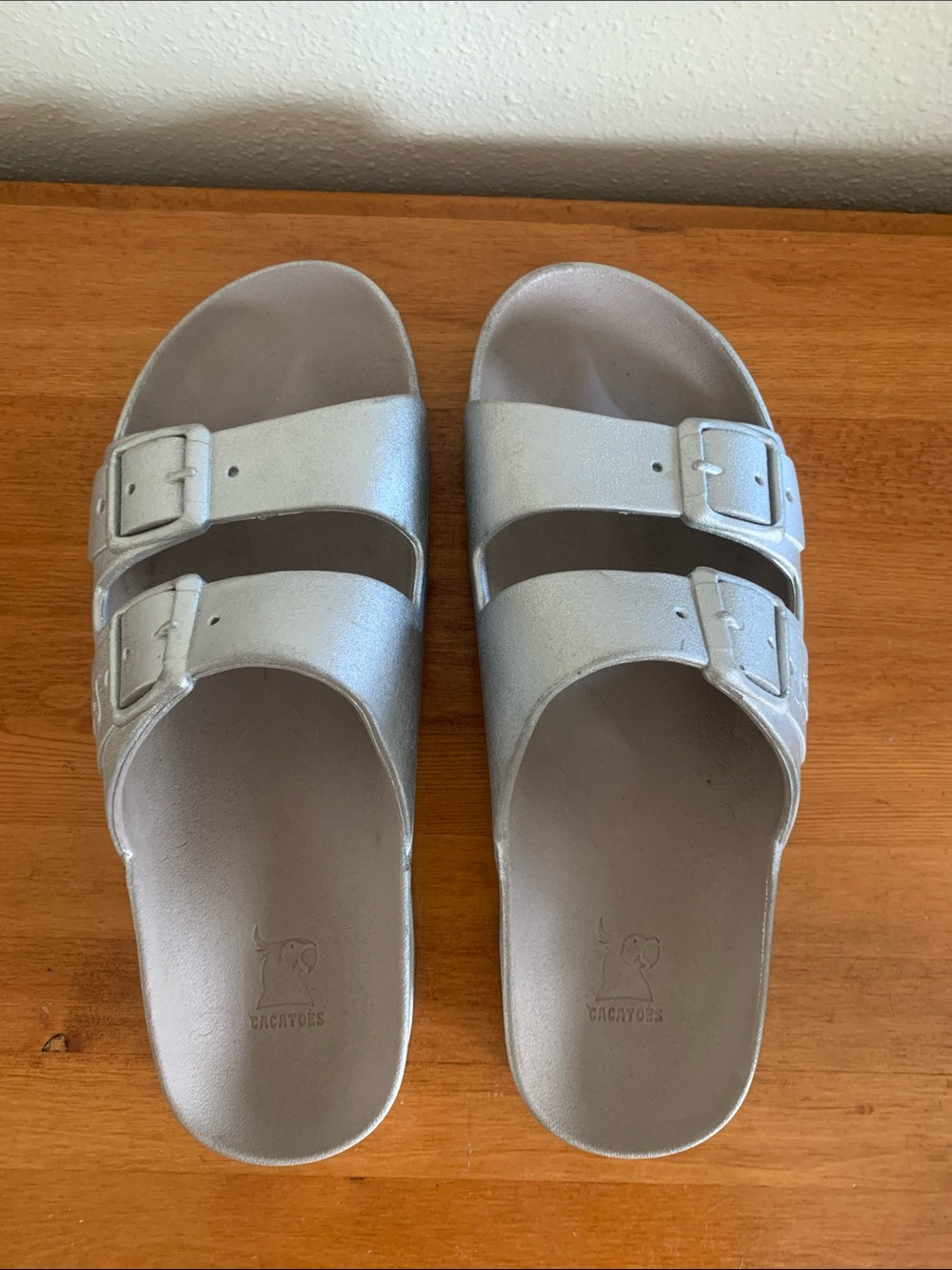 Cacatoès Slide Sandal in Silver